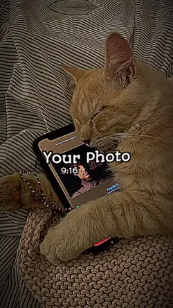 Mongnannan template!