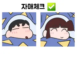 자매체크 
