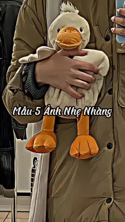 Mẫu 5 Ảnh Nhẹ Nhàng