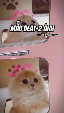 Mẫu Beat+2 Ảnh