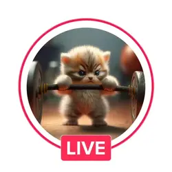 PP LiveTiktok