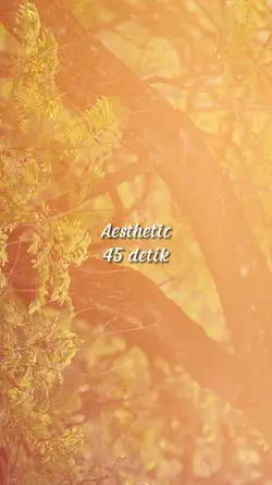 Aesthetic 45 detik