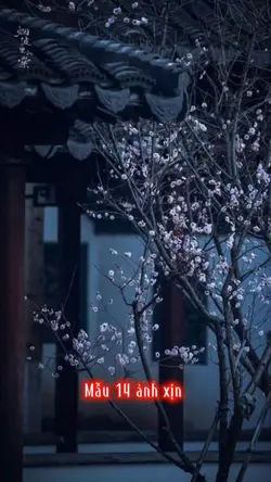 Mẫu 14 ảnh xịn 