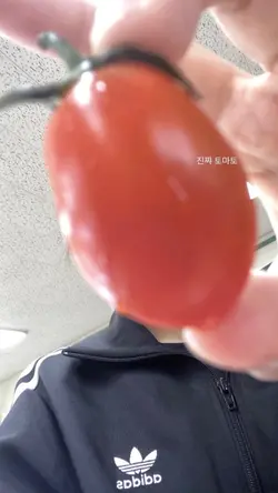 인스타 스토리 느낌 템플릿✨