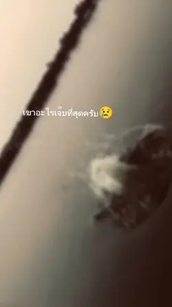 Cr.@story.fl