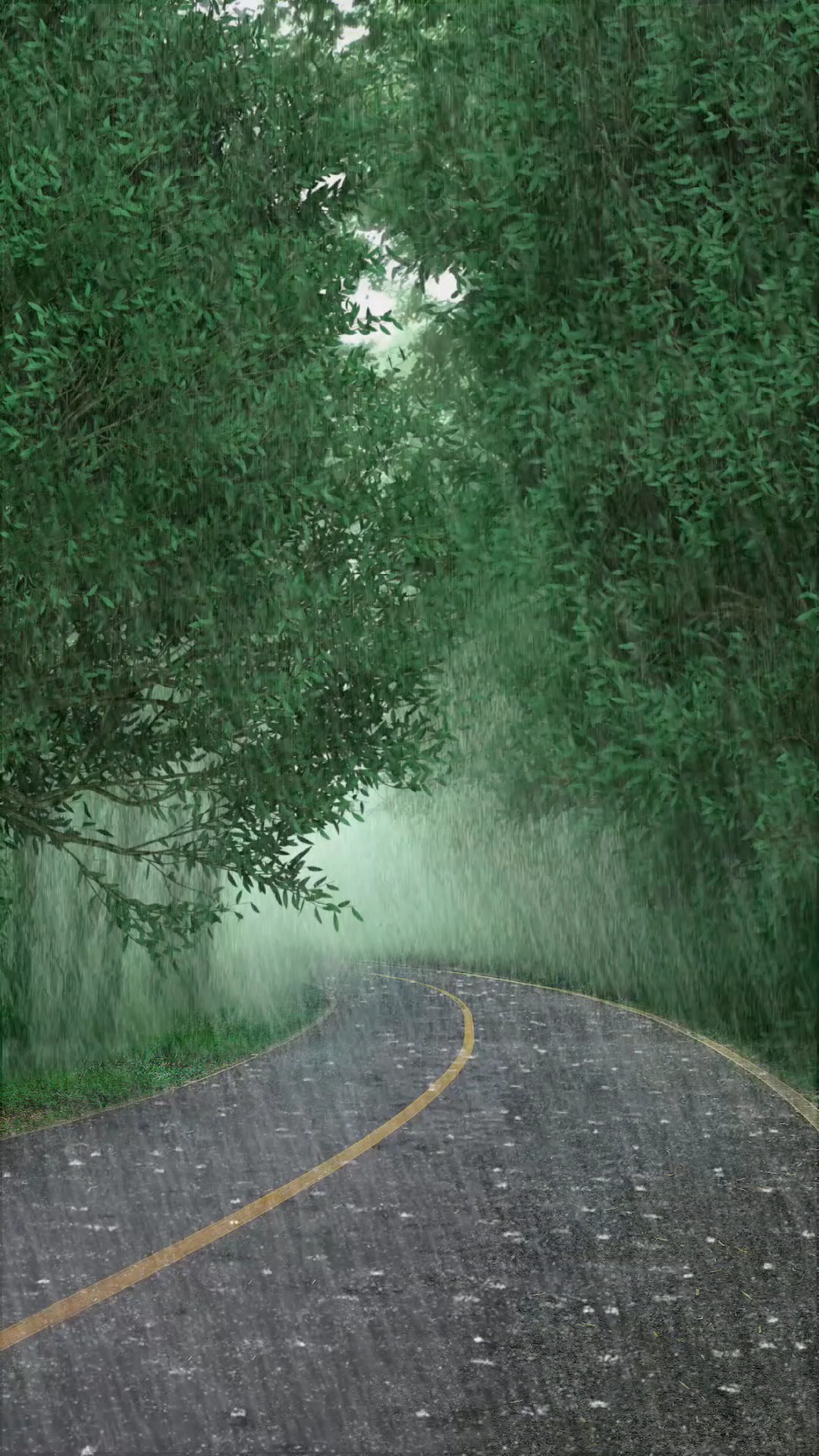 Mưa buồn