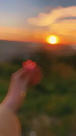 7 Foto