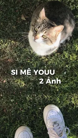 SI MÊ YOU| 2 ẢNH