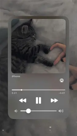 🖤🖤