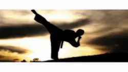 versi karate