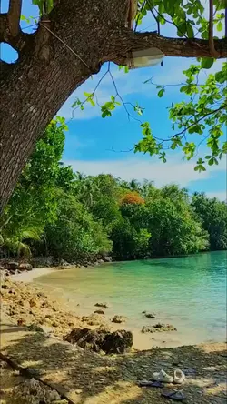 Prank Video vacation