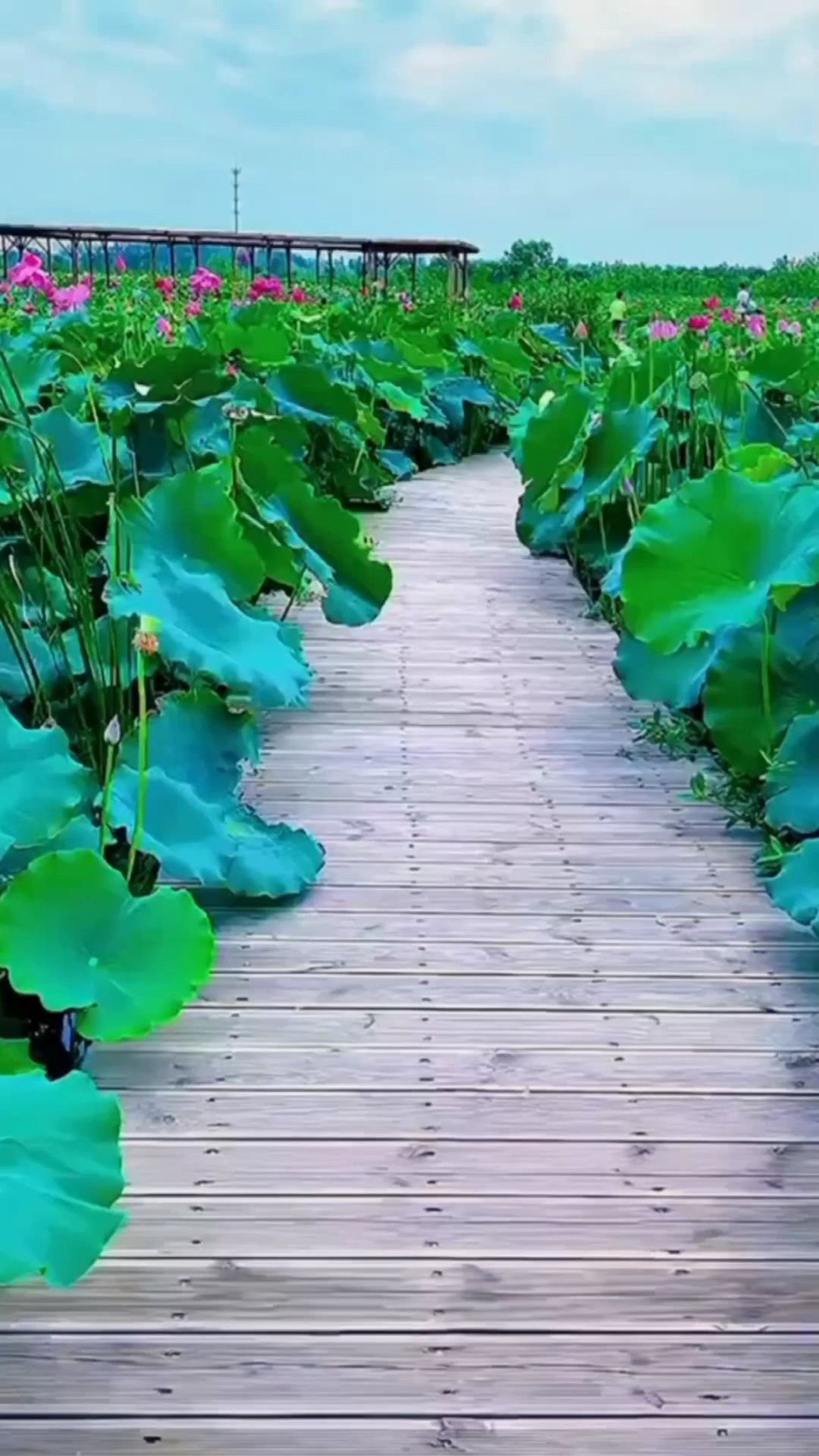 រូបអូនហ្នឹងហើយ