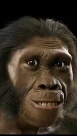 MONKEY GLOW UP