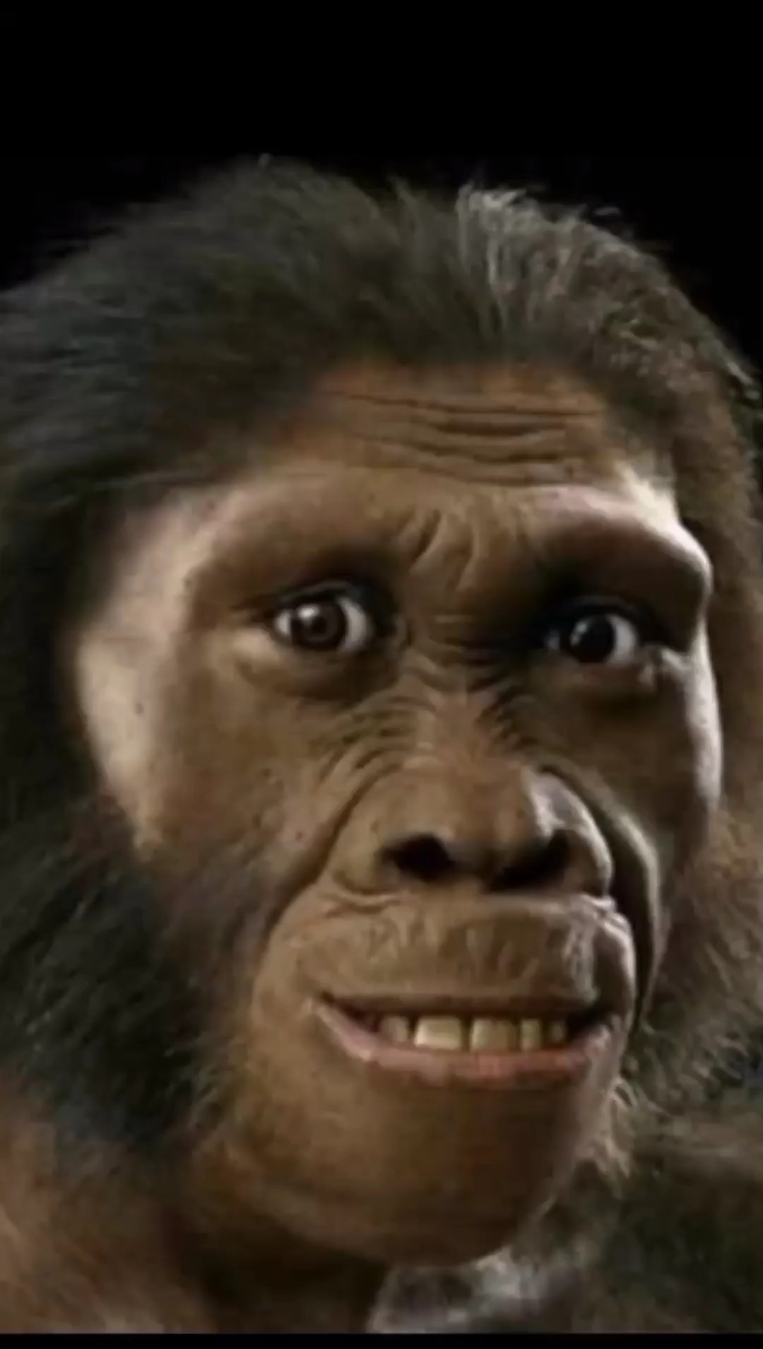 MONKEY GLOW UP