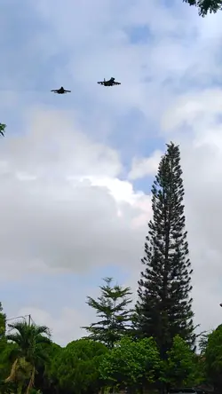 frank pesawat tempur