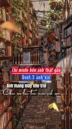 3 ảnh nhẹ nhàng