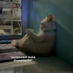 MENGGALAU