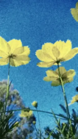 Slow android cammara