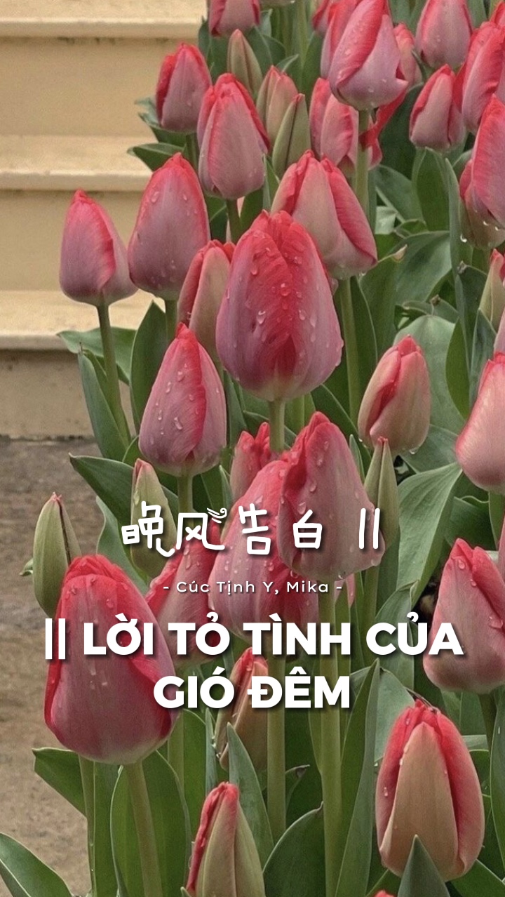 晚风告白