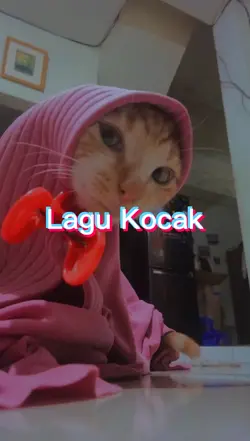 Lagu Lucu Kocak