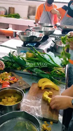 vlog mini