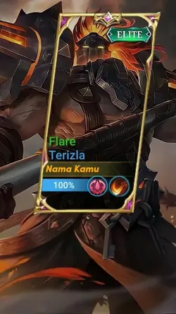 versi terizla