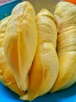 เนื้อทุเรียนเเน่นๆ