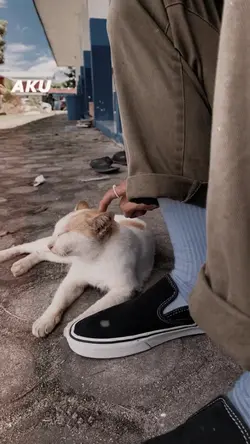 Aku suka jaimpong