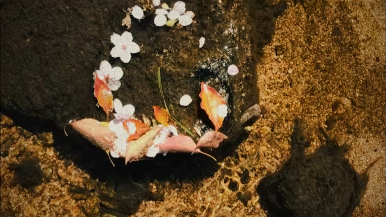16:9 미니 블로그 랜덤