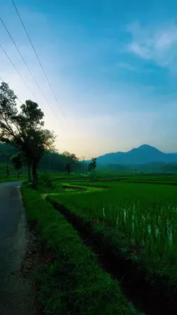 Selamat Pagi