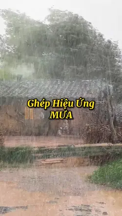 Ghép H.Ứng Mưa