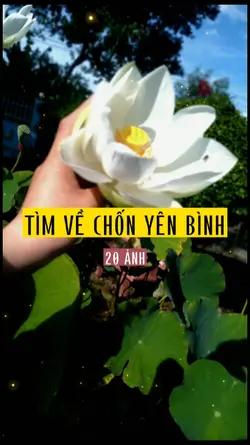 TIM VỀ CHỐN YÊN BÌNH