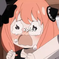 2pics