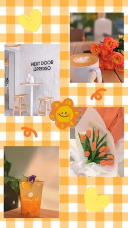 🧡 | สีส้ม