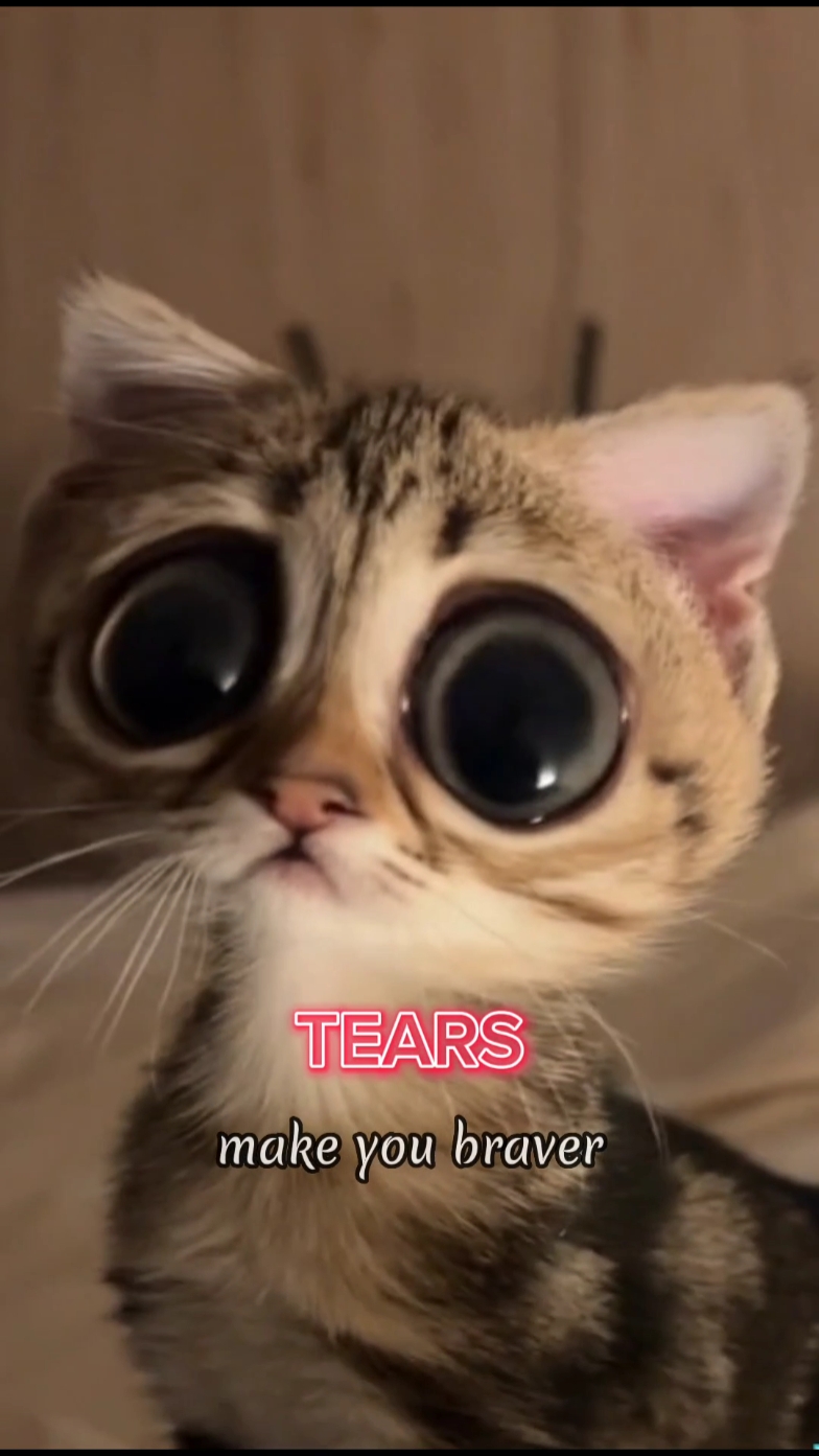 Kutipan motivasi