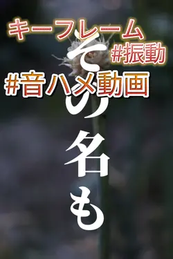 キーフレーム 振動 #音ハメ動画