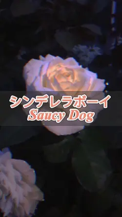 本命の本家です!!