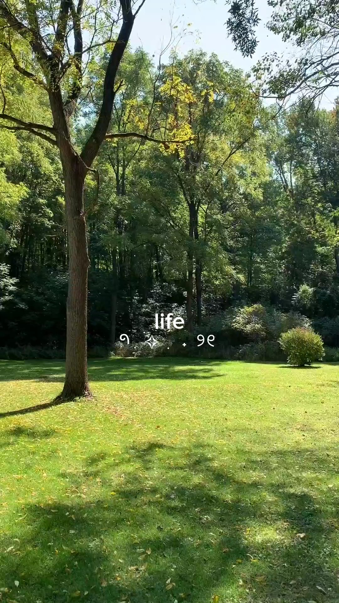 aesthetic ng mini vlog 