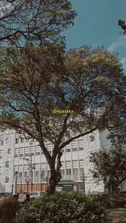 mesra-mesraannya 