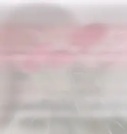 『卒業生のみんな 友達との思い出』