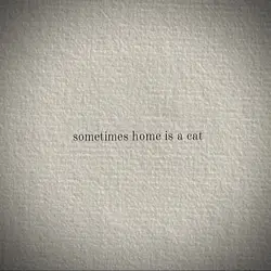 HOME IS A CAT