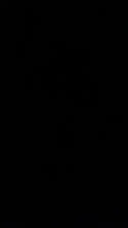 slowmo estetik