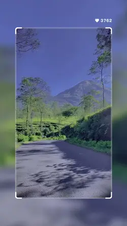5 Video + 11 Photo