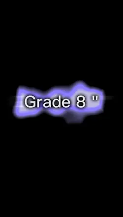 grade 8