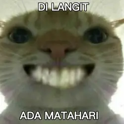 foto bobrok teman 