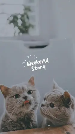 Weekend story