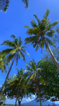 Sederhana bersamamu