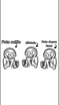 Selfie mirror