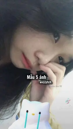 Mẫu 5 ảnh 