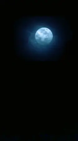 Wallpapers Video
